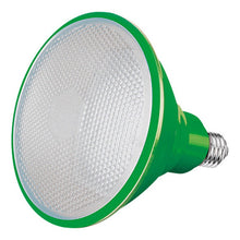 Cargar imagen en el visor de la galería, FOCO LED PAR 38 IP16 20W LUZ COLOR VERDE